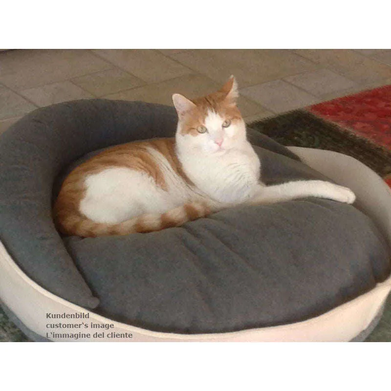 Pet Interiors ARENA Felt Designer Cat Bed