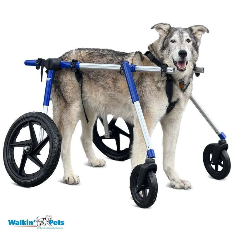 Walkin Wheels® Full Support/4-Wheel LARGE Dog Wheelchair (31 to 82 kg)