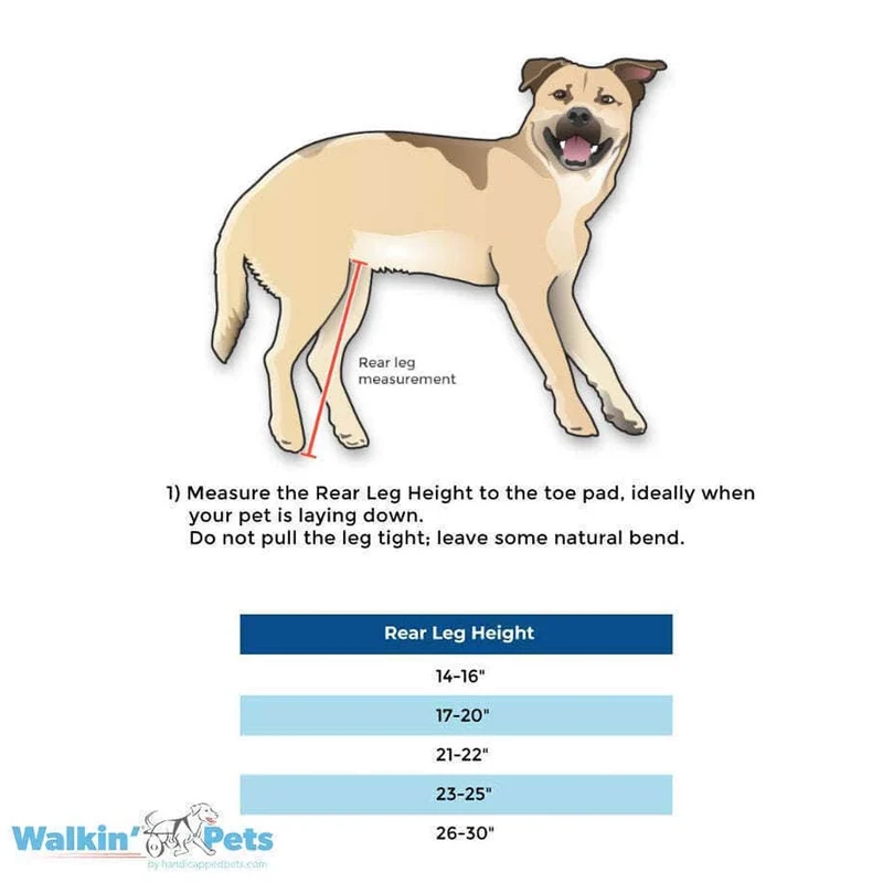 Walkin Wheels® Full Support/4-Wheel LARGE Dog Wheelchair (31 to 82 kg)