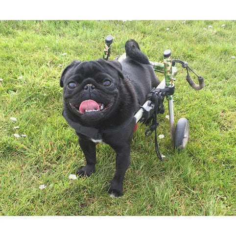 Walkin Wheels® SMALL Rear Dog Wheelchair (3.5 - 11kg)