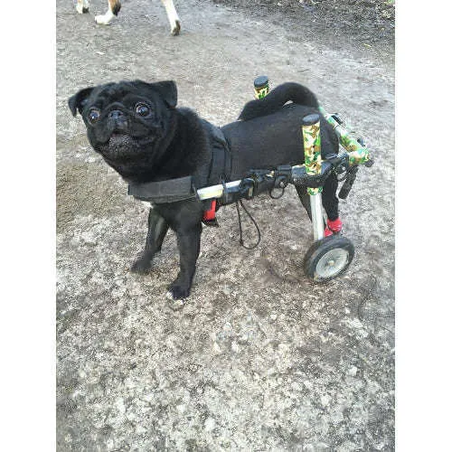 Walkin Wheels® SMALL Rear Dog Wheelchair (3.5 - 11kg)