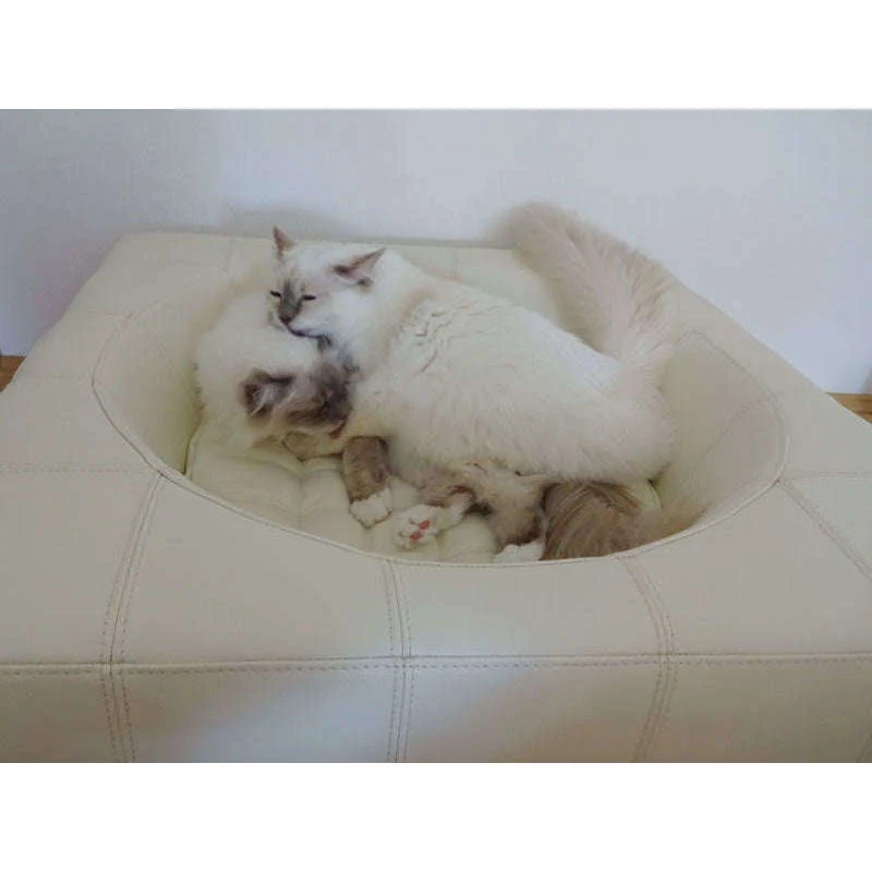 Pet Interiors Cube Genuine Leather Dog Bed