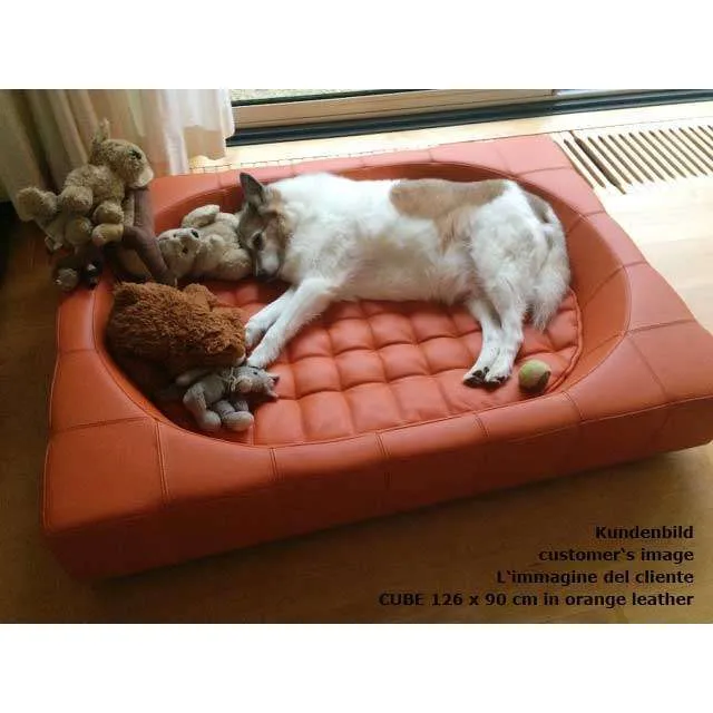 Pet Interiors Cube Genuine Leather Dog Bed