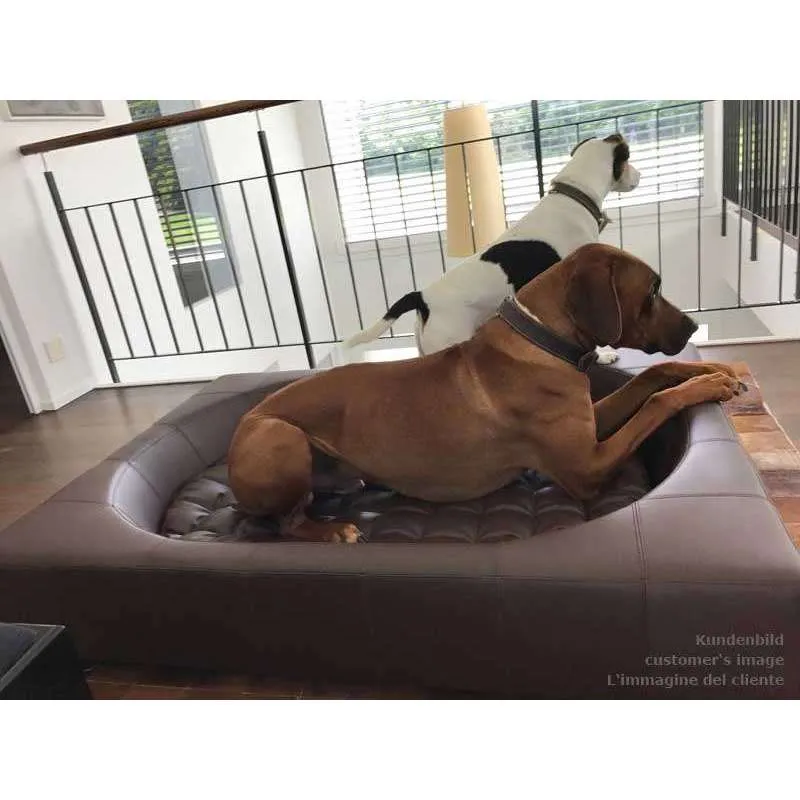 Pet Interiors Cube Faux Leather Dog Bed