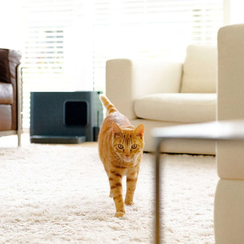 Hoopo Dome Plus Cat Litter Box