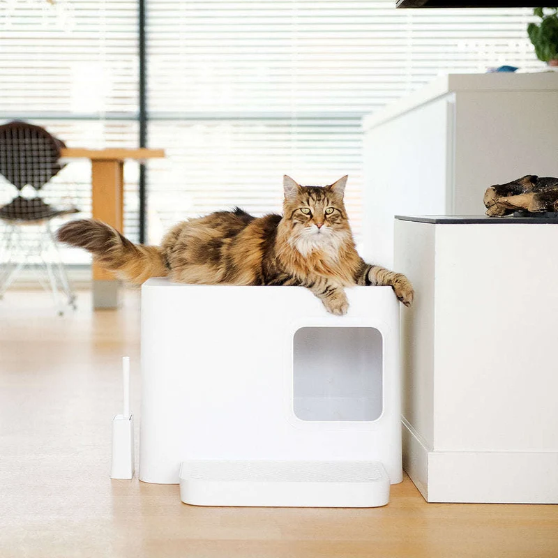 Hoopo Dome Plus Cat Litter Box