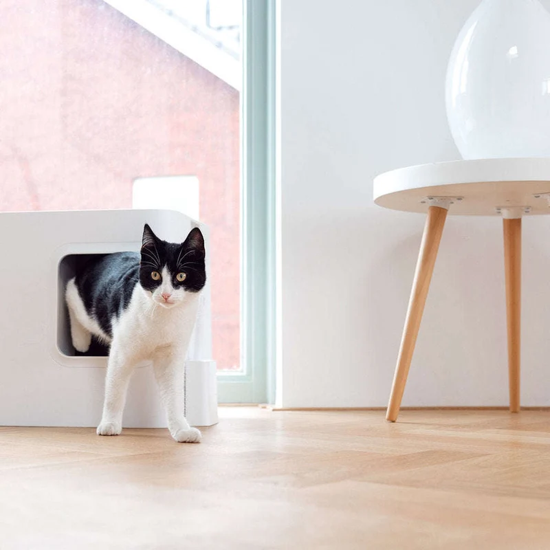 Hoopo Dome Cat Litter Box