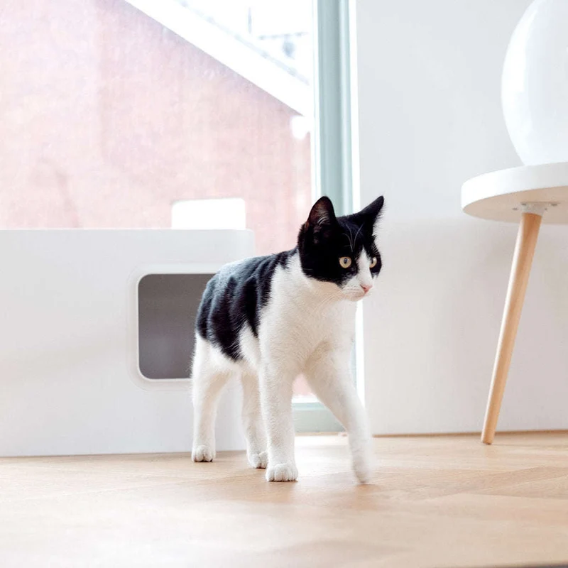 Hoopo Dome Cat Litter Box