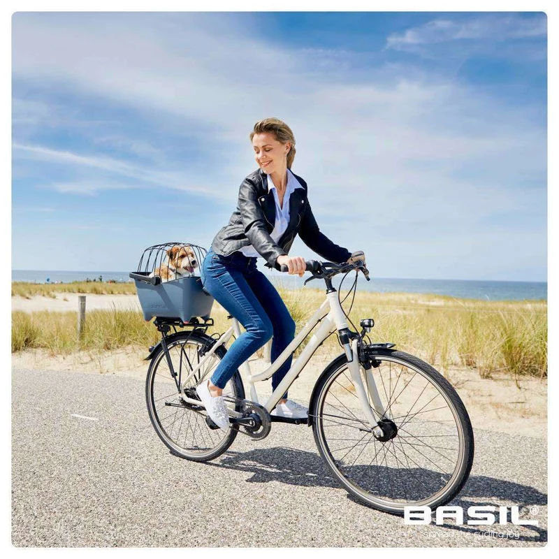 Basil Buddy MIK Space Frame