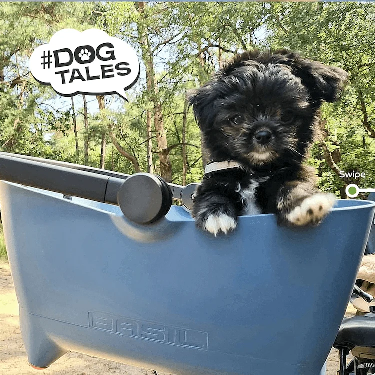 Basil Buddy MIK Dog Bike Basket
