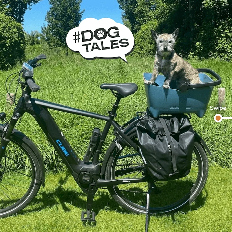 Basil Buddy MIK Dog Bike Basket