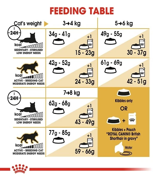 Royal Canin British Shorthair Adult Dry Cat Food 4KG
