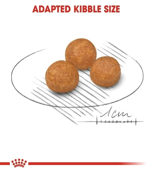 Royal Canin X-Small Adult Dry Dog Food 1.5KG