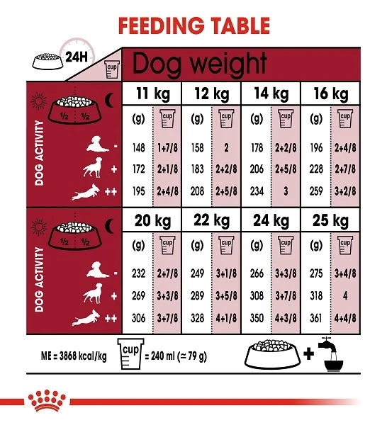 Royal Canin Medium Ageing 10+ Dry Dog Food 3KG