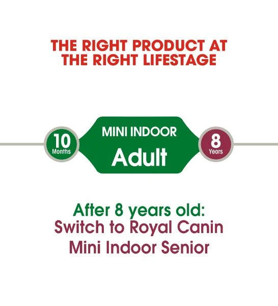 Royal Canin Mini Indoor Life Adult Dry Dog Food 1.5KG