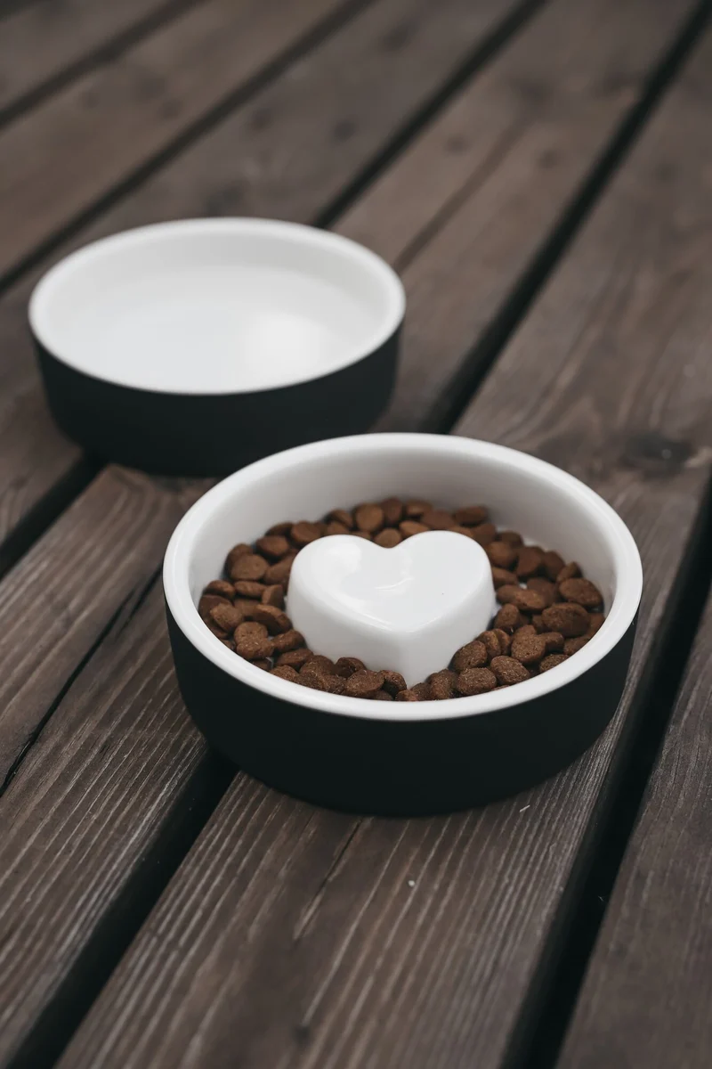 PAIKKA Slow Feed Bowl
