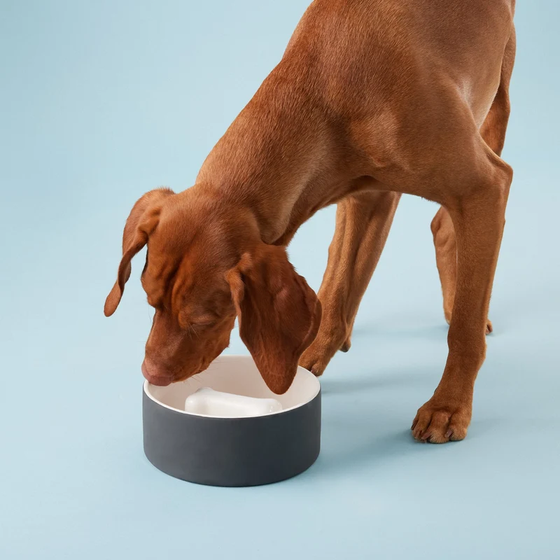 PAIKKA Slow Feed Bowl
