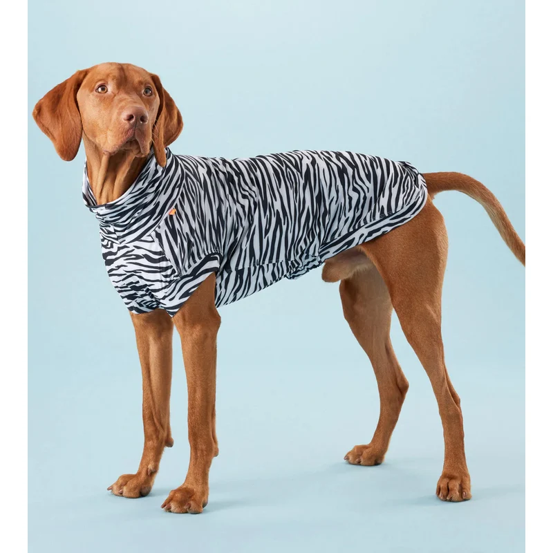 PAIKKA UV & Bug Shirt for Dogs