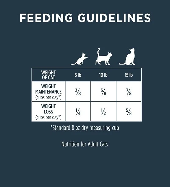 Instinct Raw Boost Healthy Weight Chicken Cat Dry Food 4.5lbs