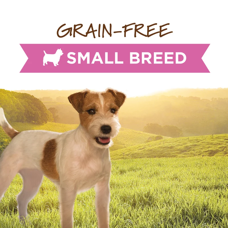 Instinct Small Breed Original Beef Recipe Dog Wet Food