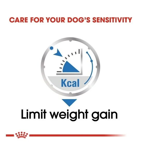 Royal Canin Light Weight Care Dog Wet Food 85G