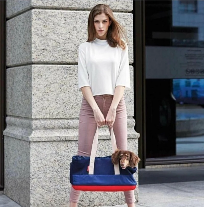 Ibiyaya Breathable Dachshund Carrier
