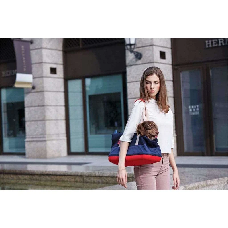 Ibiyaya Breathable Pet Carrier