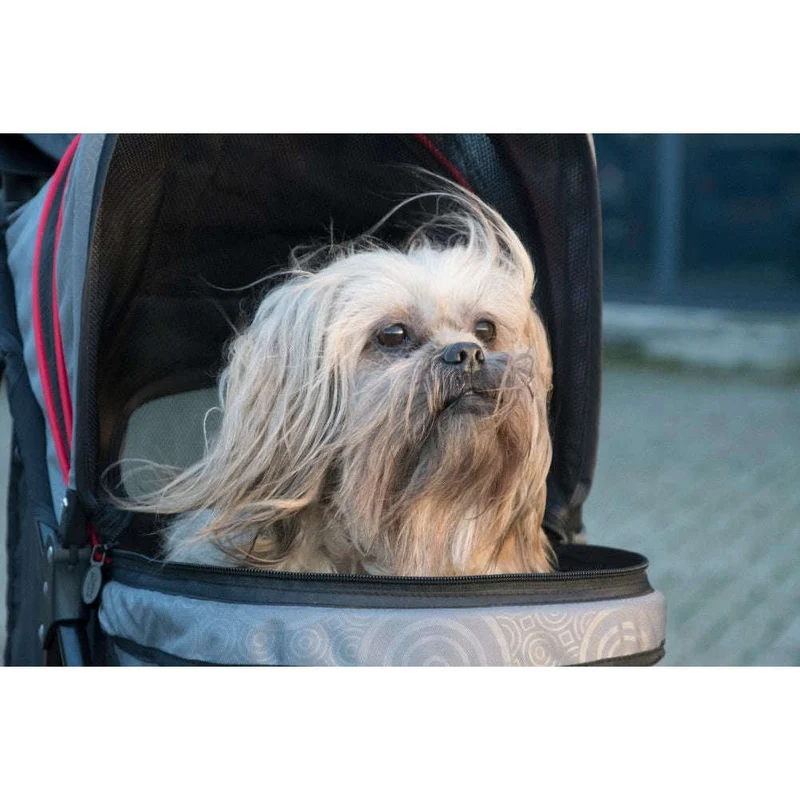 InnoPet Avenue Pet Pram Including Free Rain Cover
