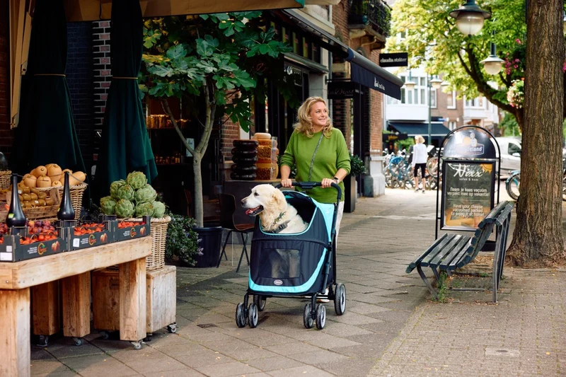 InnoPet Mamut XL Dog Pram with Free Rain Cover + Organiser