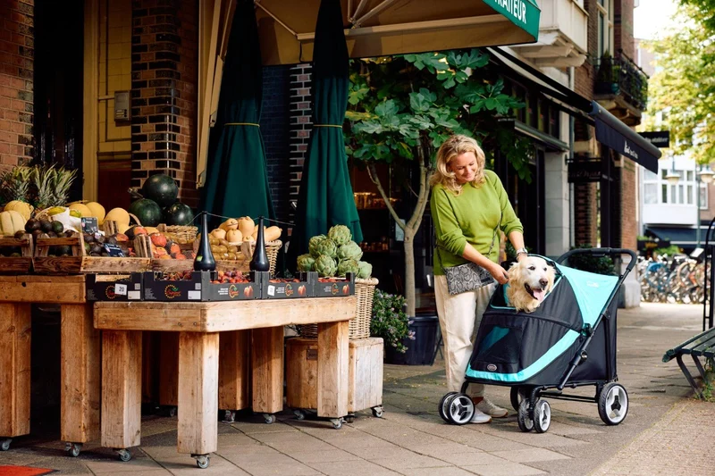 InnoPet Mamut XL Dog Pram with Free Rain Cover + Organiser