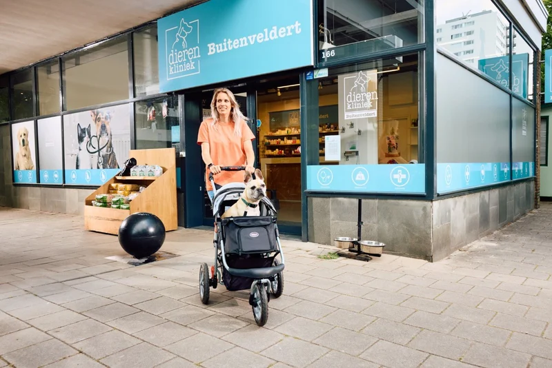 InnoPet Buggy Comfort EFA ECO Dog Pram V2.0 + Free Organiser