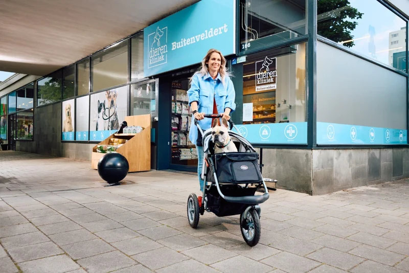 InnoPet Buggy Comfort EFA ECO Dog Pram V2.0 + Free Organiser