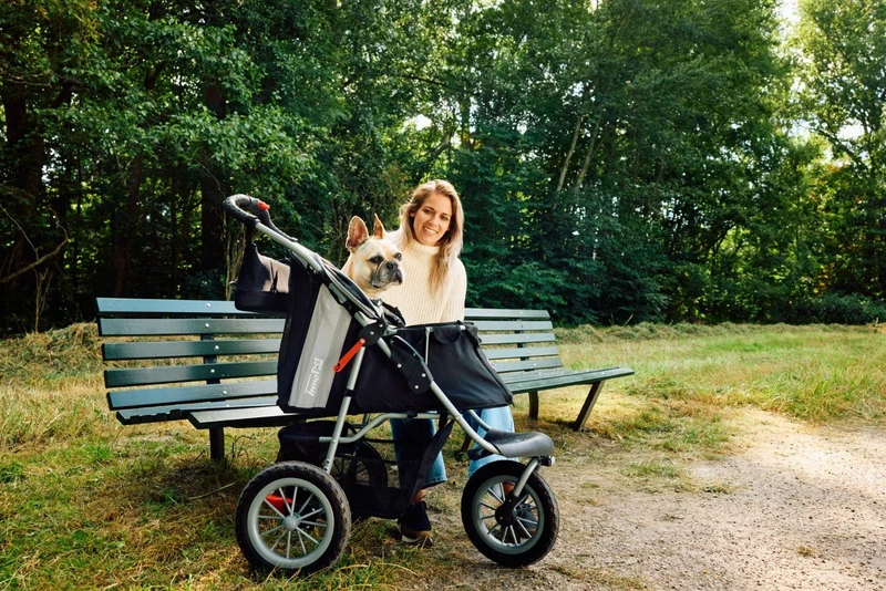 InnoPet Buggy Comfort EFA ECO Dog Pram V2.0 + Free Organiser