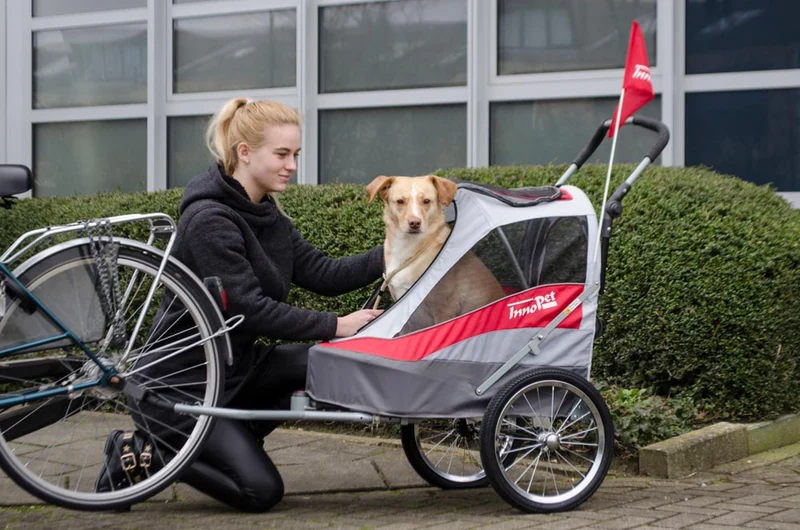 InnoPet Sporty Deluxe Pet Pram & Dog Bike Trailer with Free Rain Cover