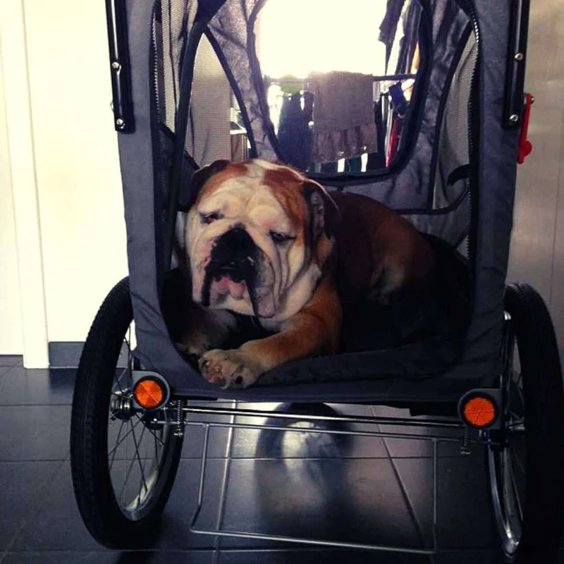 InnoPet Sporty Deluxe Pet Pram & Dog Bike Trailer with Free Rain Cover