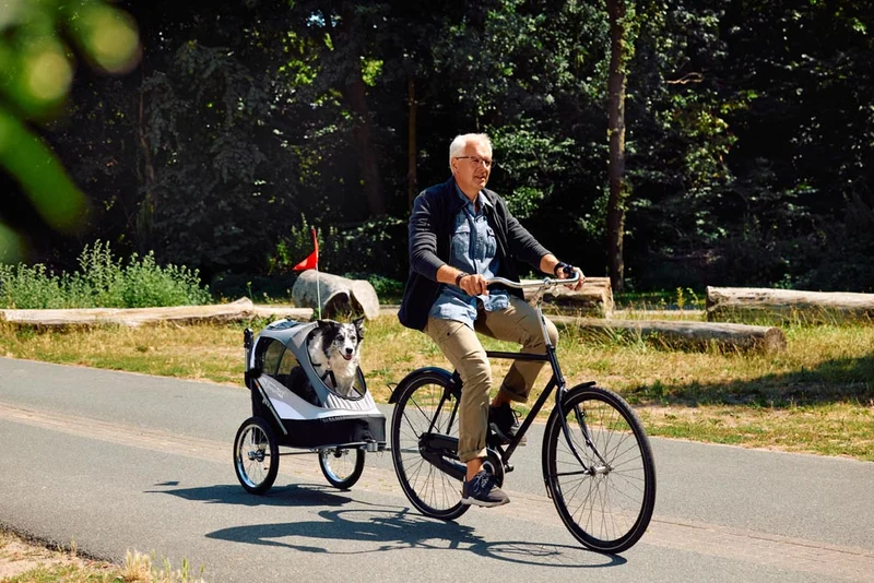 InnoPet Sporty Deluxe Pet Pram & Dog Bike Trailer with Free Rain Cover