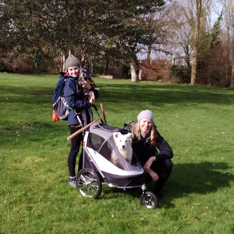 InnoPet Sporty Deluxe Pet Pram & Dog Bike Trailer with Free Rain Cover