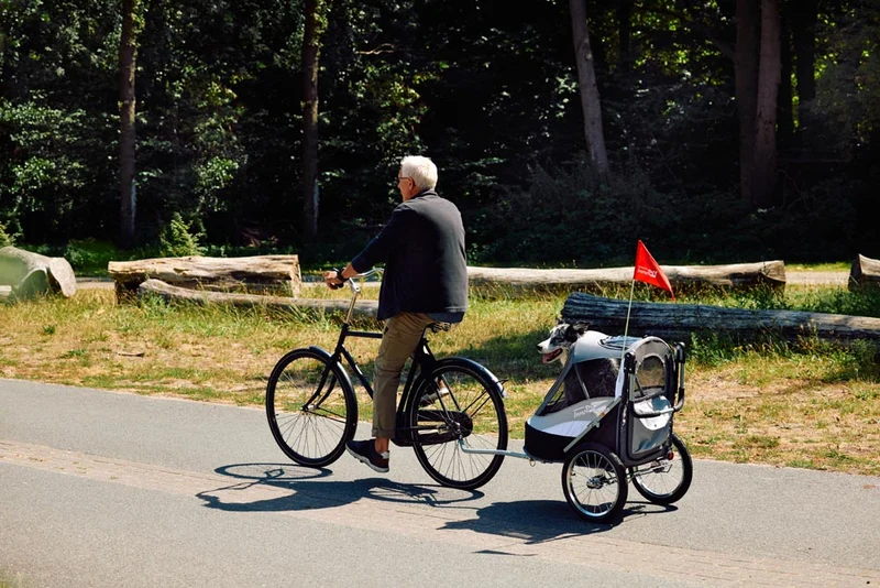 InnoPet Sporty Deluxe Pet Pram & Dog Bike Trailer with Free Rain Cover
