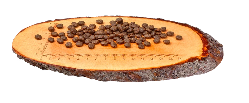 Carnilove Salmon for Adult Cat Dry Food