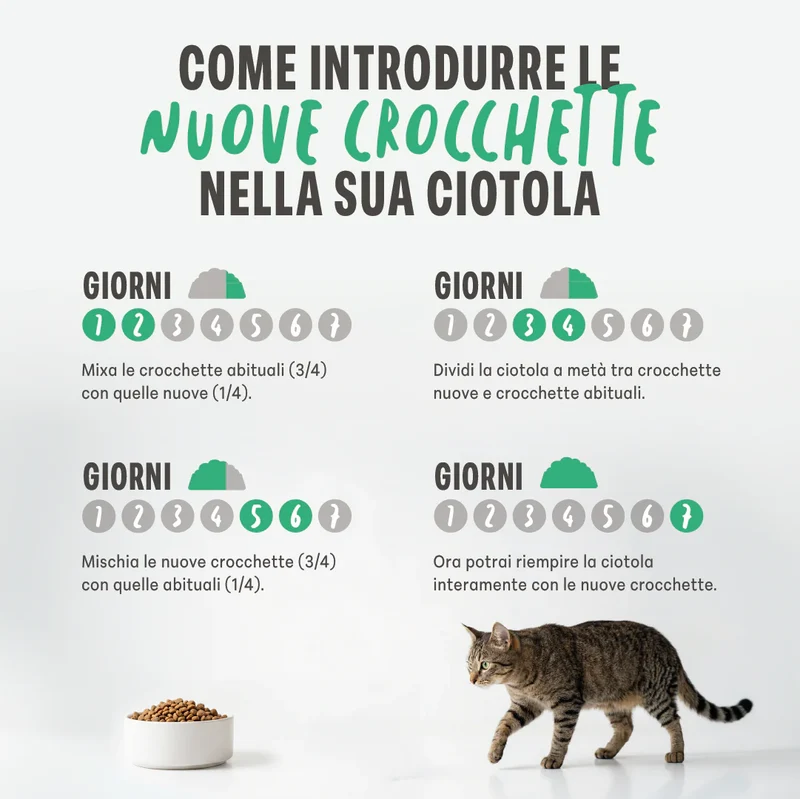 Schesir Monoprotein Formula Kitten Dry Cat Food Maintenance With Chicken 1.5KG