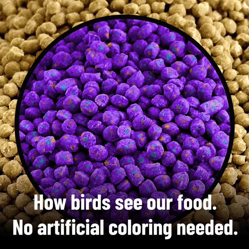 Harrison's Adult Lifetime Fine Bird Food