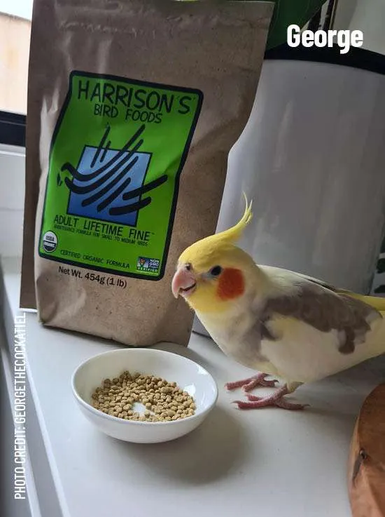 Harrison's Adult Lifetime Fine Bird Food