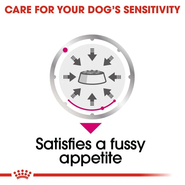 Royal Canin Exigent for All Breeds Wet Dog Food 85G