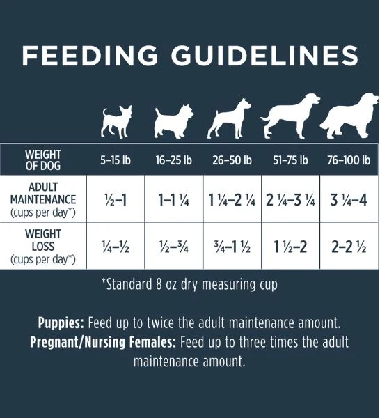 Instinct Raw Boost Grain Free Kibble Real Beef Dry Dog Food