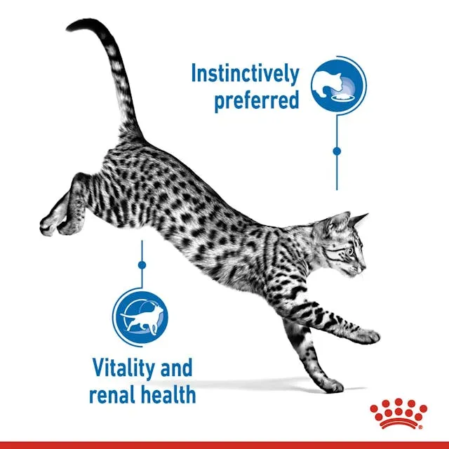 Royal Canin Indoor Sterilised 7+ Morsels In Jelly Cat Wet Food 85G