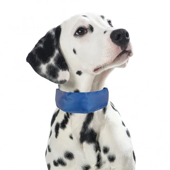 PROCYON Kühl-Bandana für Hunde – sofort einsetzbar und kühlend