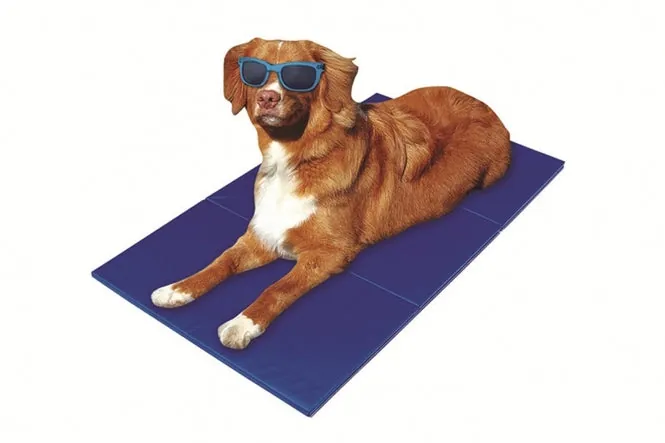 Pet-Star Kühlmatte für Hunde und Katzen – automatisch kühlend