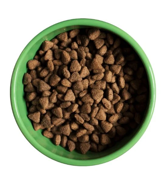 Yora Pet Foods Superfood Insect Protein All Breeds Adult Dry Dog Food