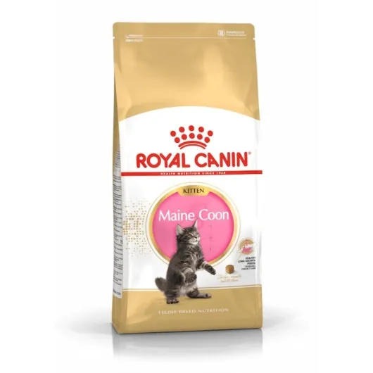 Royal Canin Feline Maine Coon Kitten – für Maine Coon Welpen
