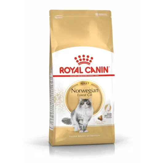 Royal Canin Feline Norwegian Forest Cat – für gesunde Norwegische Waldkatzen